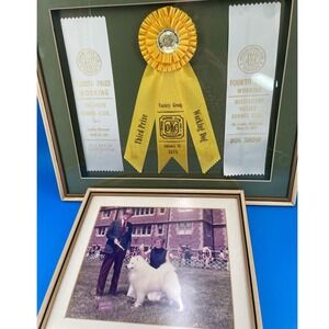 AKC Dog Show Ribbons Samoyed Photo Yellow White 1970s St Louis Framed x2